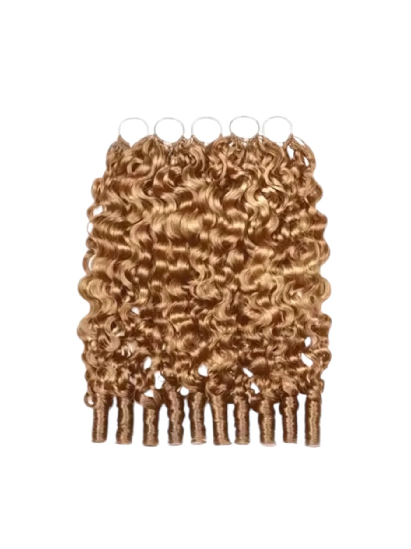 Burmese Curly miniature 27 4
