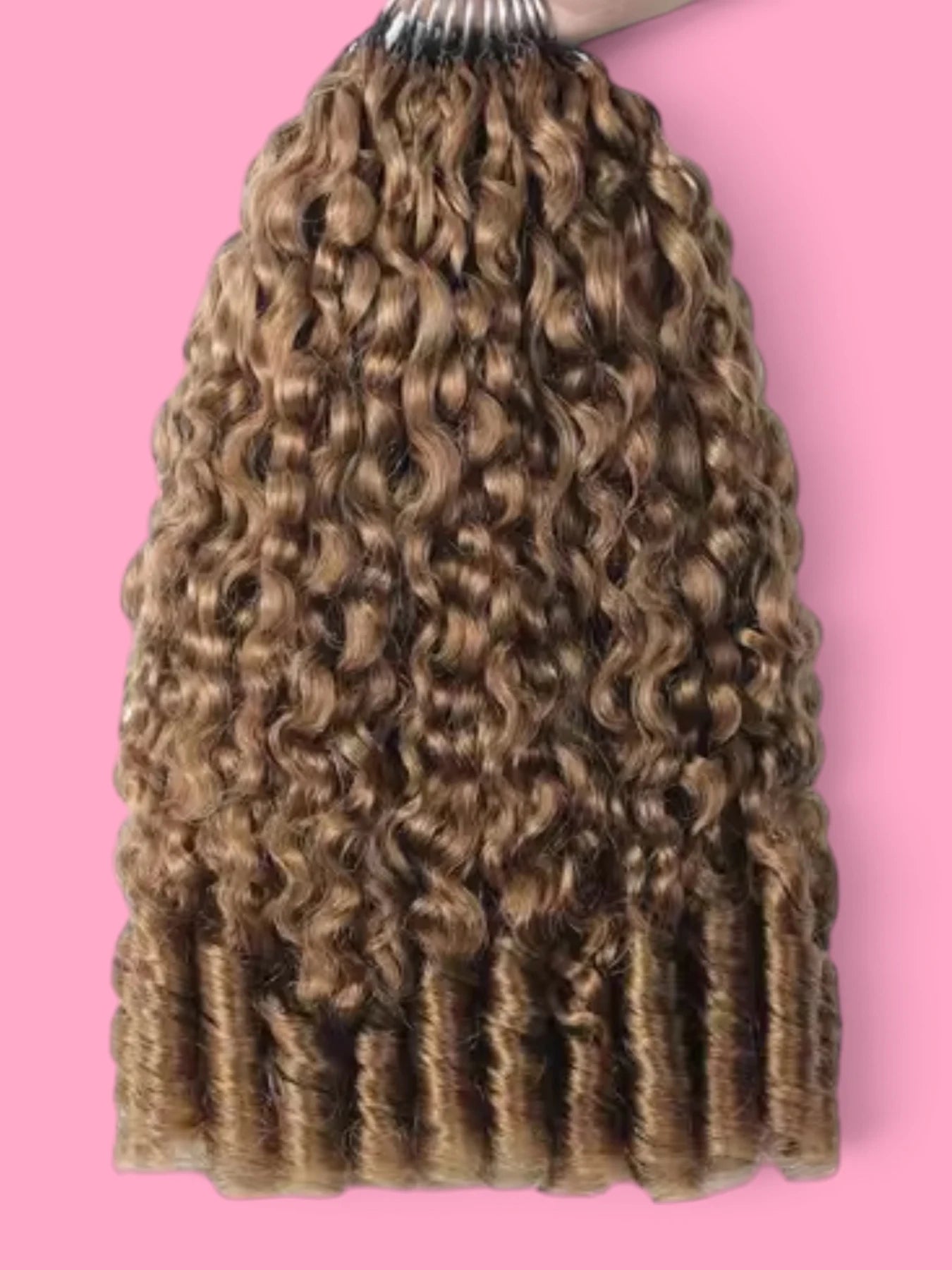 Burmese Curly miniature 30 5