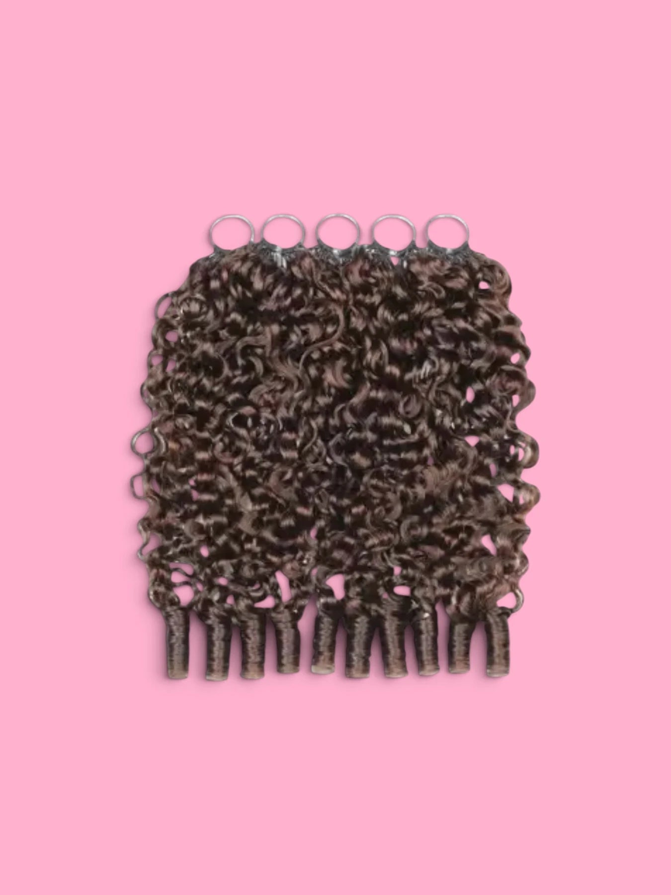 Burmese Curly miniature 4 3